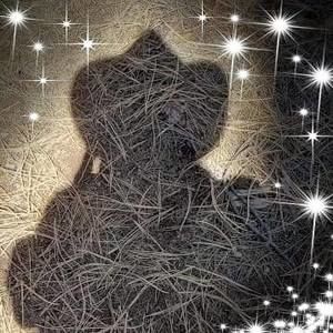 Meet your Posher, Deb